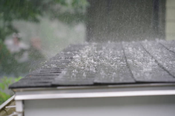 Best 4 Ply Roofing  in Hanna City, IL